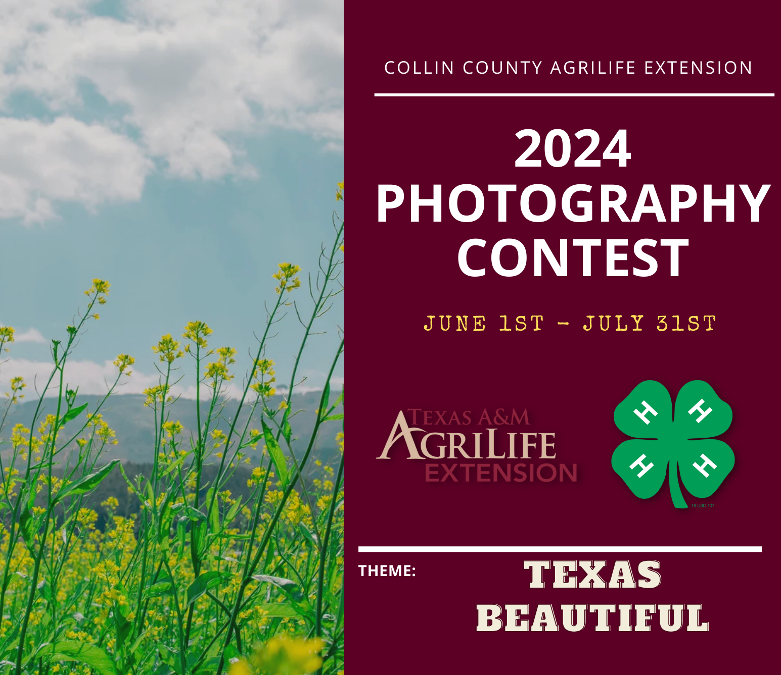 2024 Photography Contest